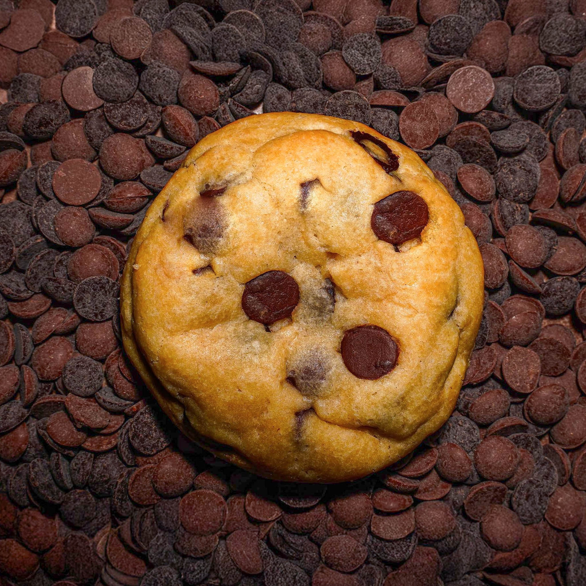 Chocolate Chip Cookie