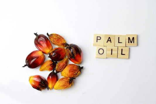 Was du über Palmöl wissen solltest.