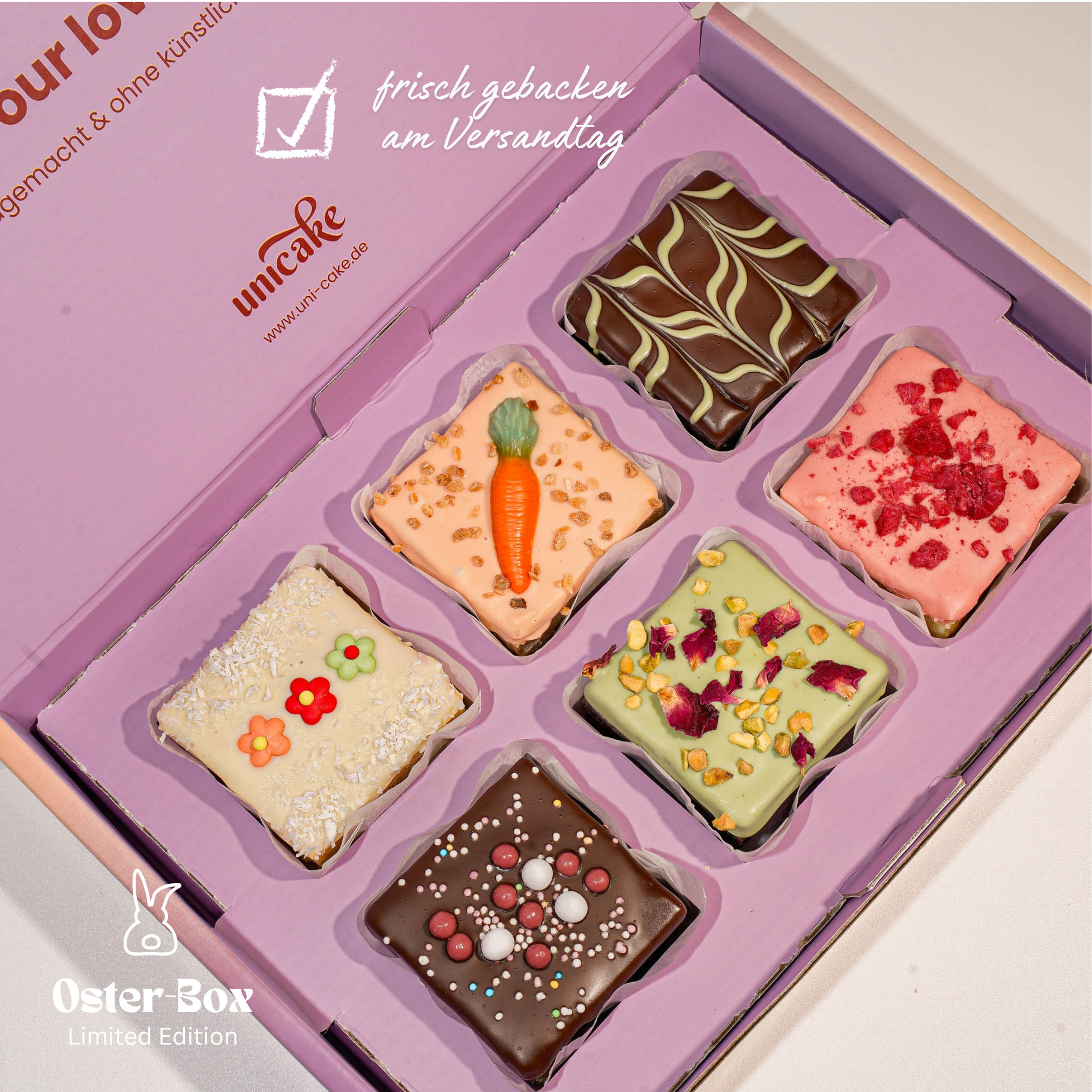 OSTER Brownie Box 🐰