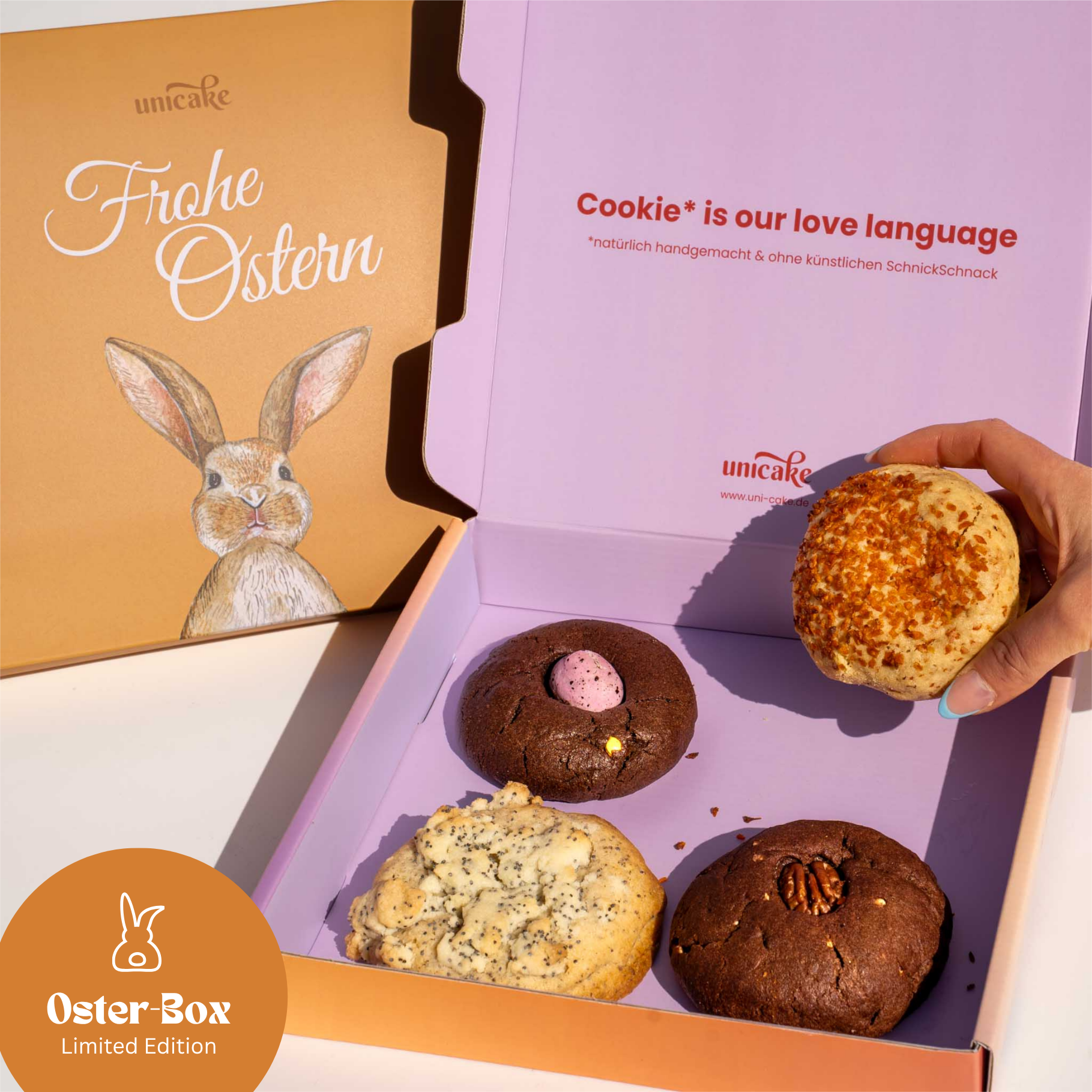 OSTER Cookie Box 🐣