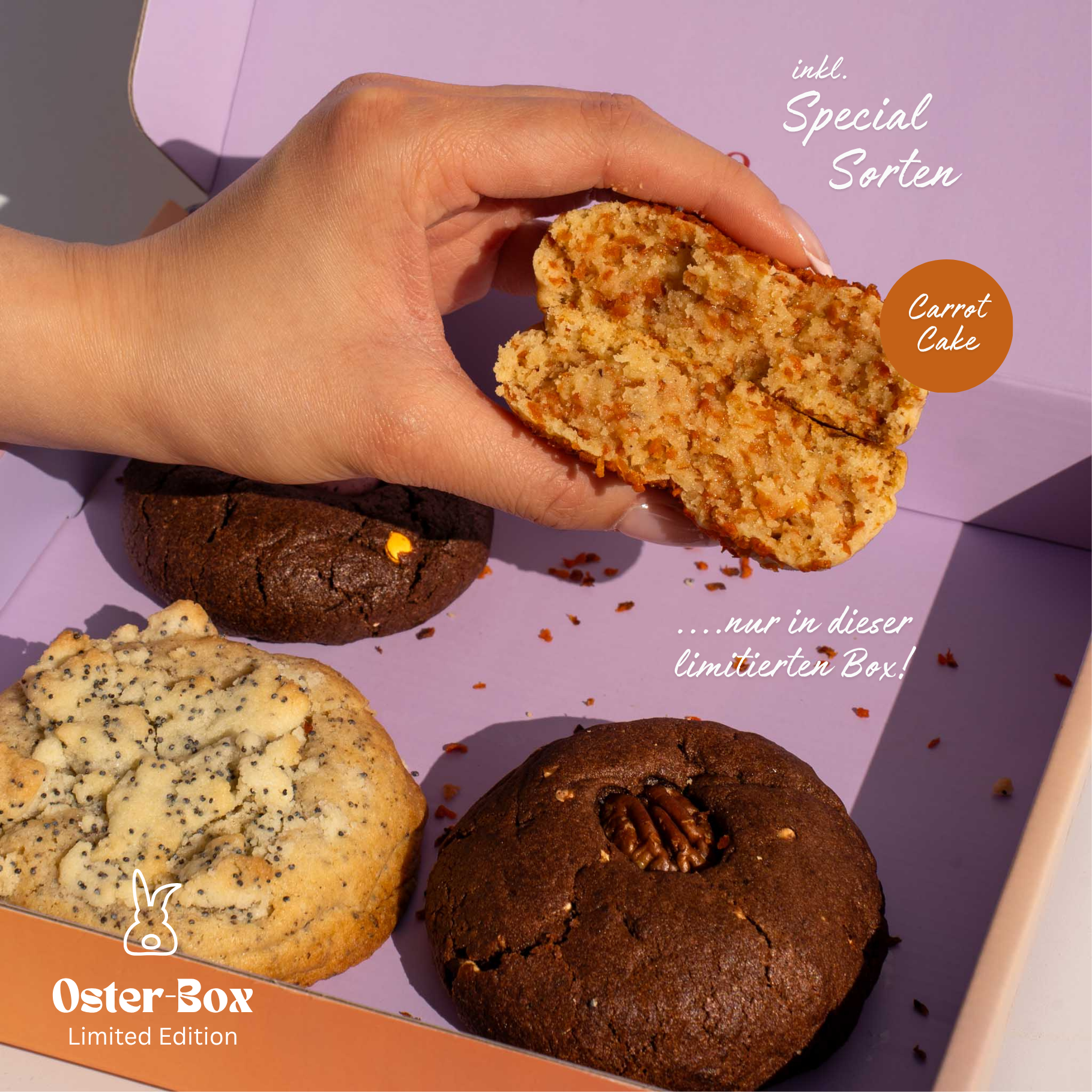 OSTER Cookie Box 🐣