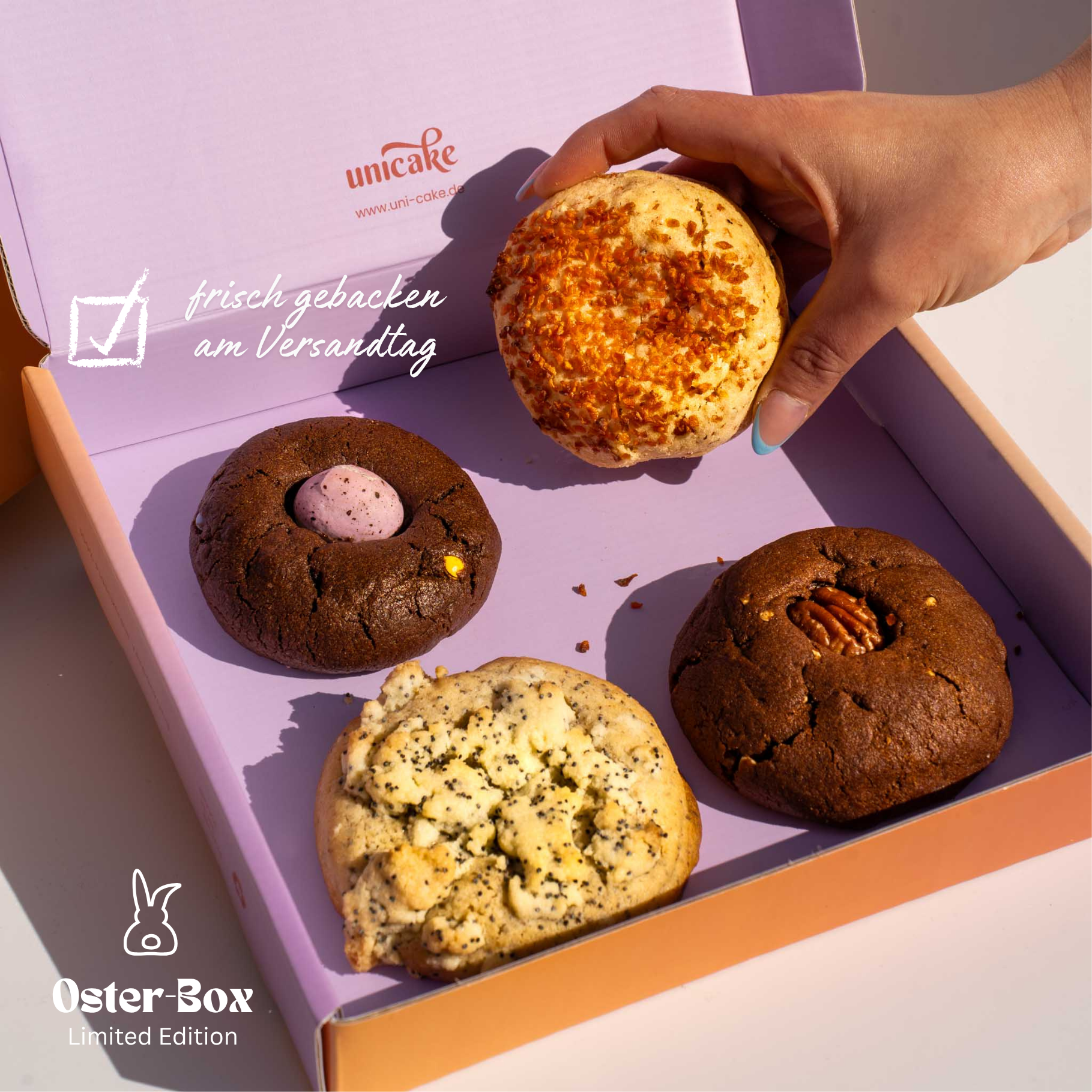 OSTER Cookie Box 🐣