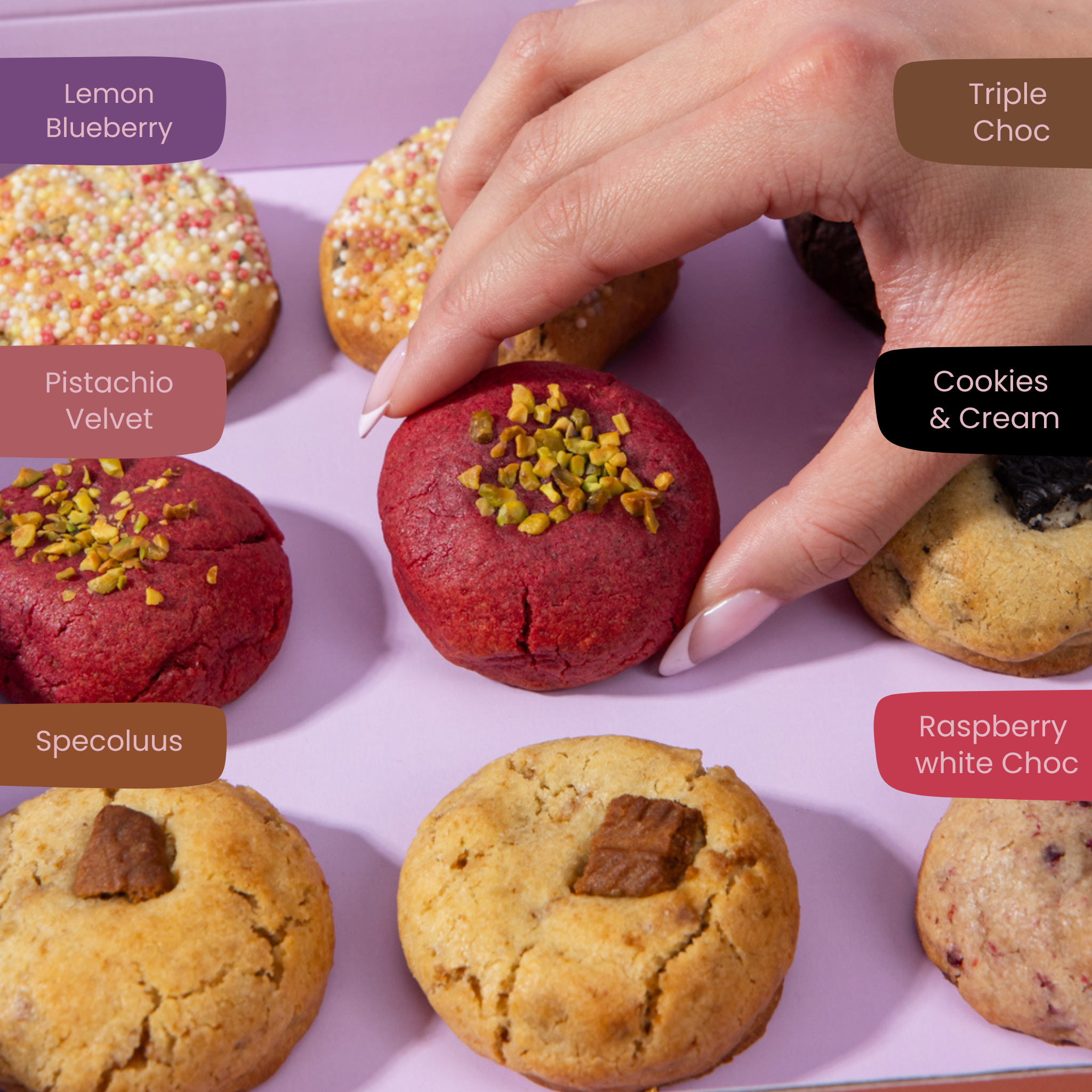 12er Mini Cookie Box