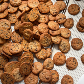 COOKIE BITES - Chocolate Chip (NEU!)