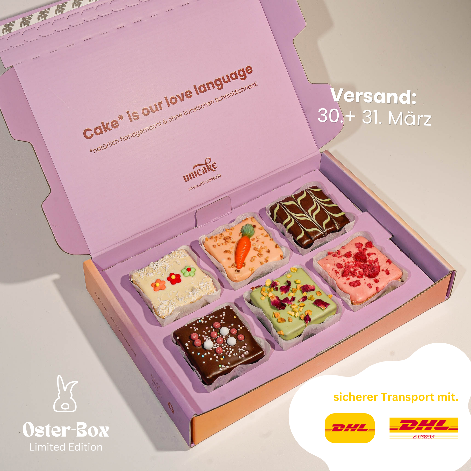 OSTER Brownie Box 🐰