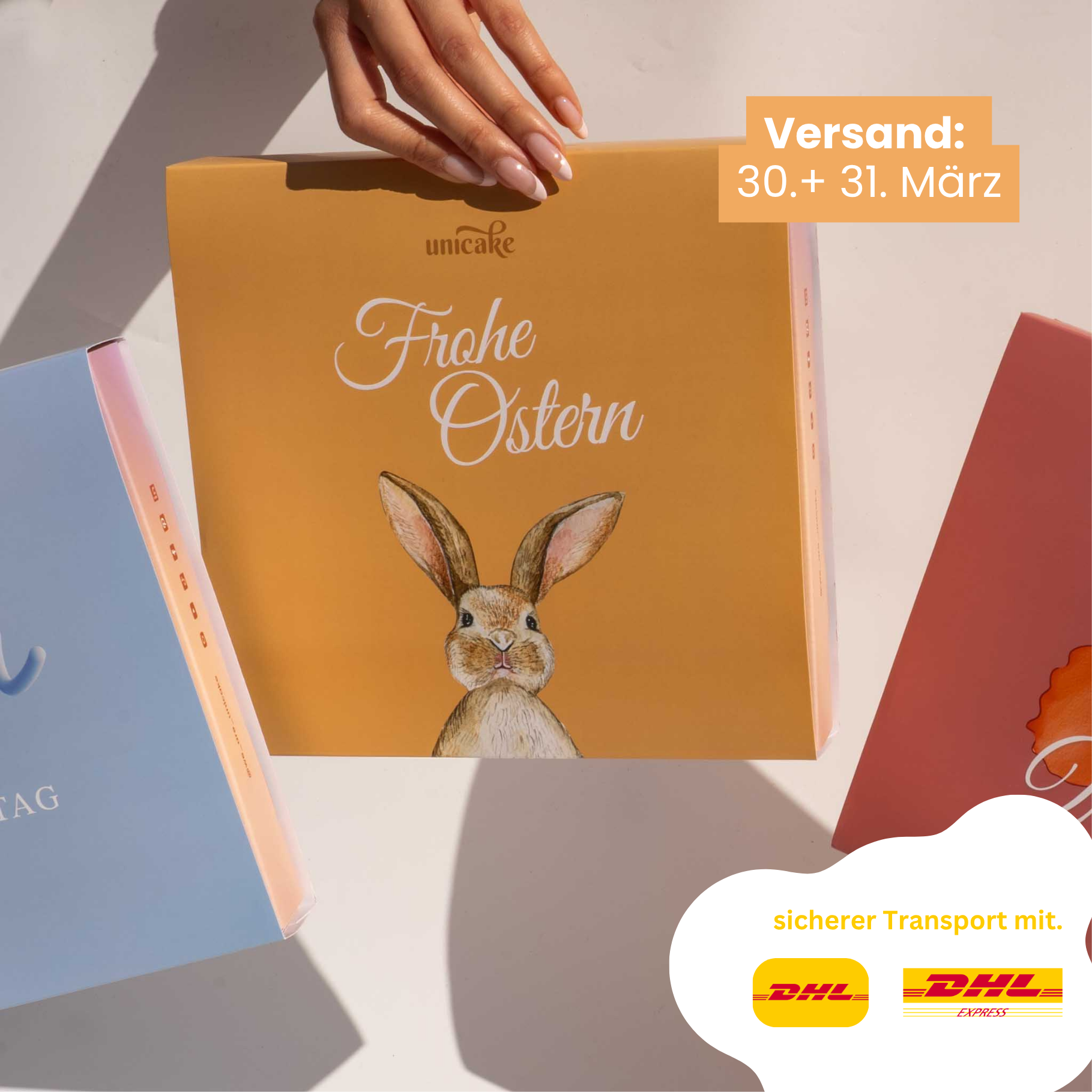 OSTER Cookie Box 🐣