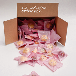 Party/ Office Box